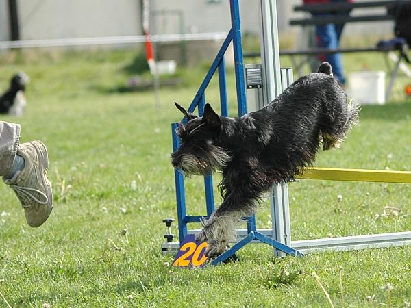 4. ročník závodů Hop Sem Hop Tam