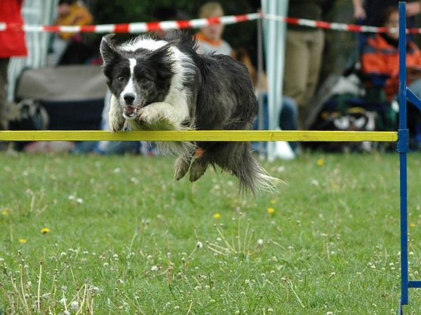 4. ročník závodů Hop Sem Hop Tam