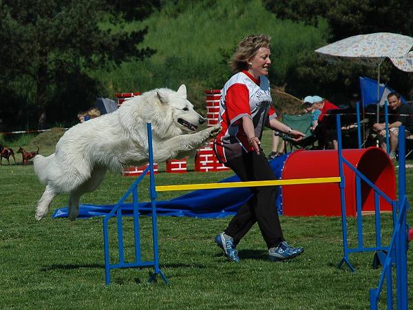 img00058.jpg