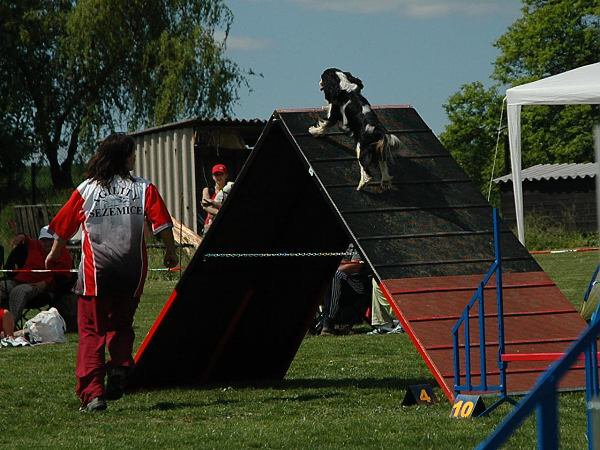 img00104.jpg