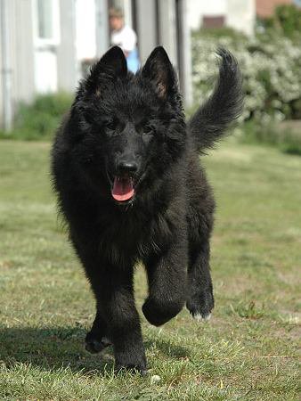 img00130.jpg