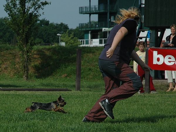 Extreme Agility víkend - sobota