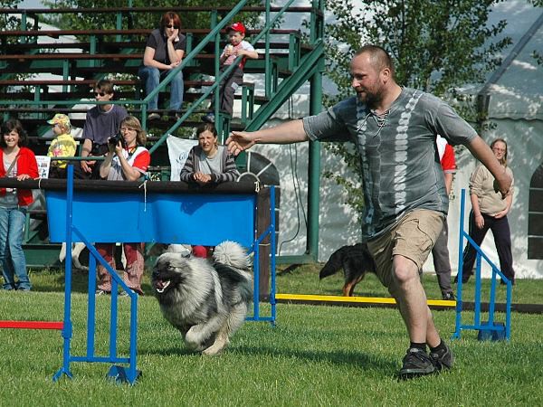 Extreme Agility víkend - sobota