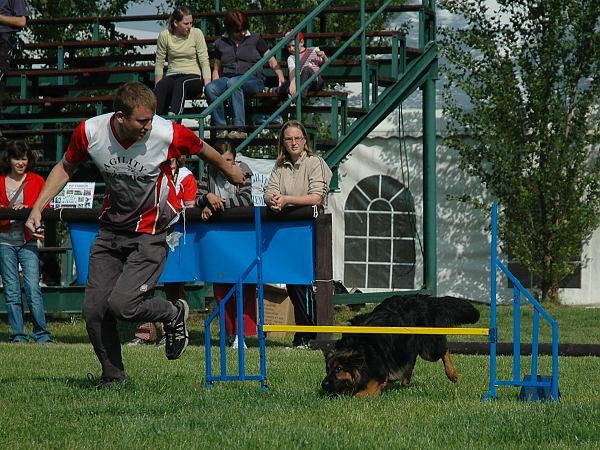 Extreme Agility víkend - sobota