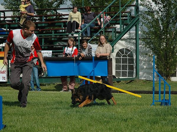 Extreme Agility víkend - sobota