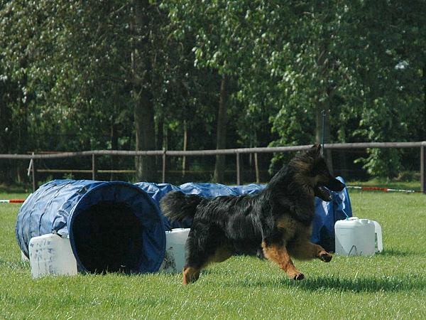 Extreme Agility víkend - sobota