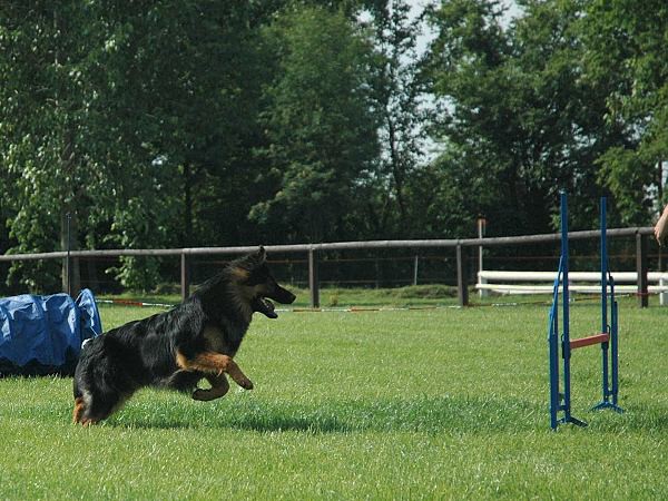 Extreme Agility víkend - sobota