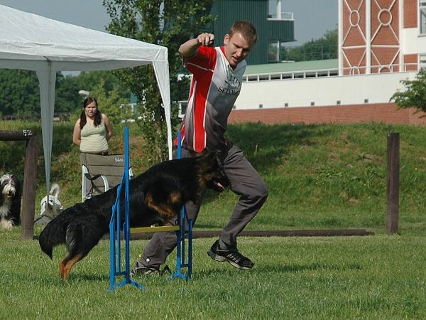 Extreme Agility víkend - sobota