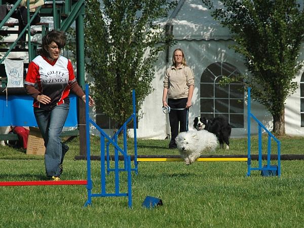 Extreme Agility víkend - sobota
