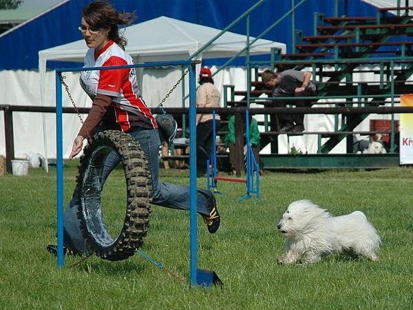 Extreme Agility víkend - sobota