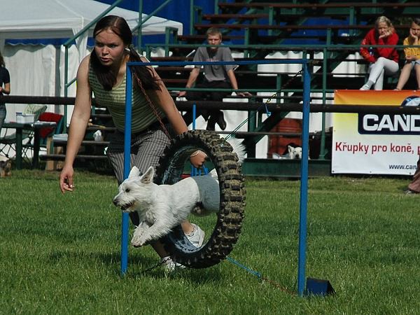Extreme Agility víkend - sobota