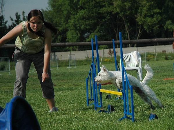 Extreme Agility víkend - sobota