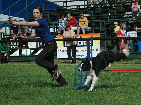 Extreme Agility víkend - sobota