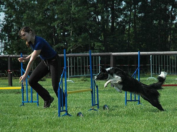 Extreme Agility víkend - sobota