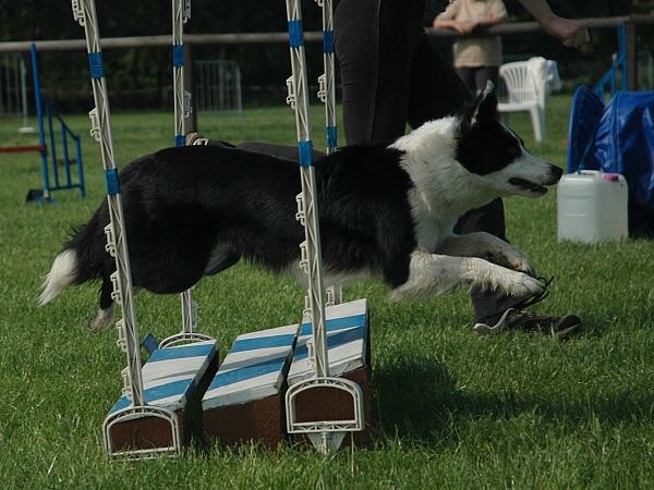 Extreme Agility víkend - sobota