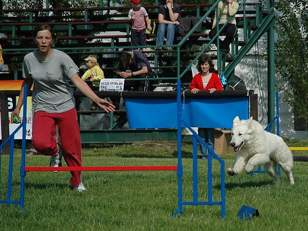 Extreme Agility víkend - sobota