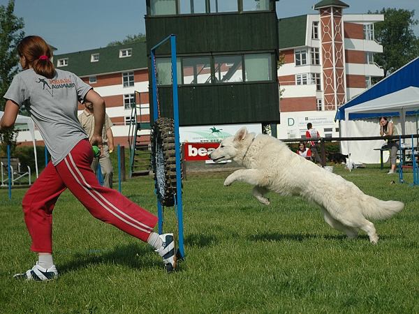 Extreme Agility víkend - sobota