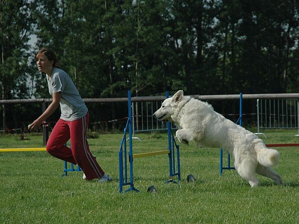 Extreme Agility víkend - sobota