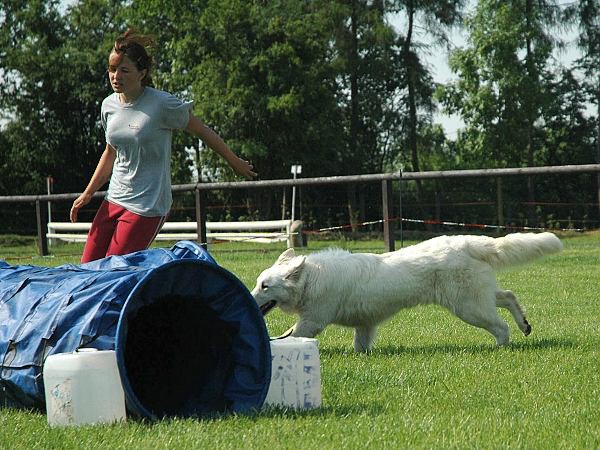 Extreme Agility víkend - sobota
