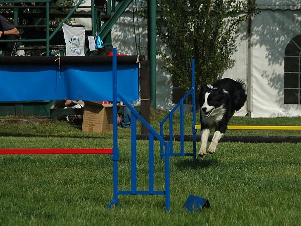 Extreme Agility víkend - sobota