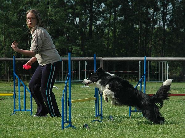 Extreme Agility víkend - sobota