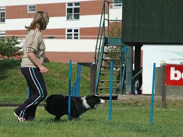 Extreme Agility víkend - sobota