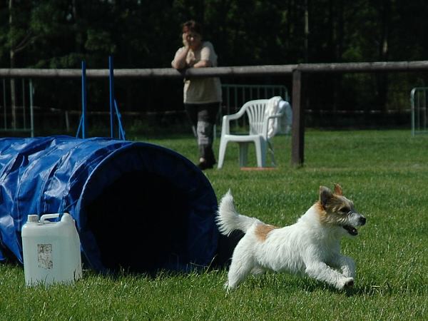 Extreme Agility víkend - sobota