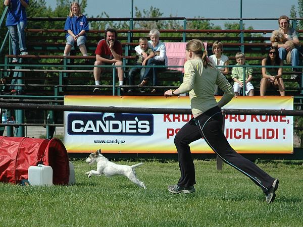 Extreme Agility víkend - sobota