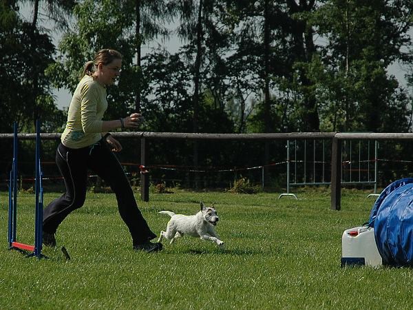 Extreme Agility víkend - sobota