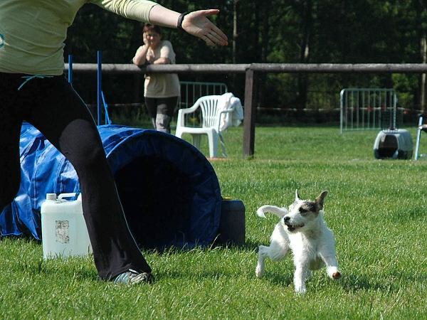 Extreme Agility víkend - sobota