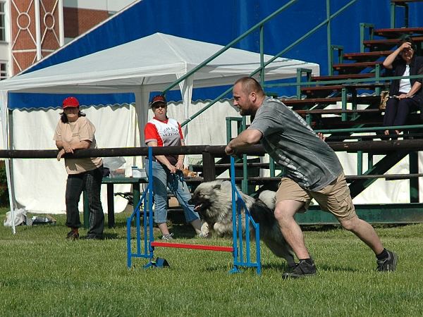 Extreme Agility víkend - sobota