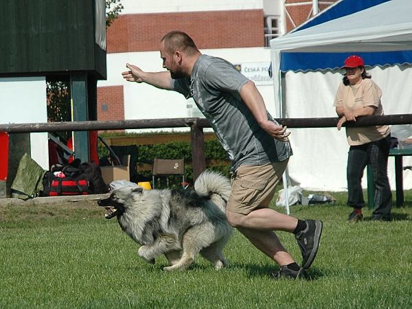 Extreme Agility víkend - sobota
