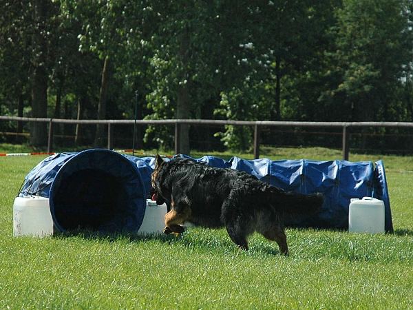 Extreme Agility víkend - sobota