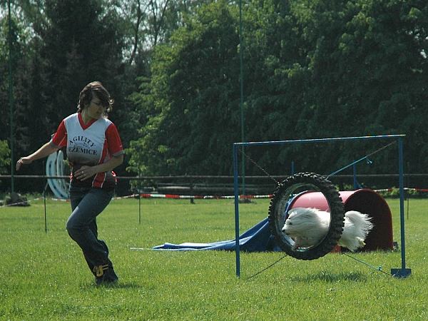 Extreme Agility víkend - sobota