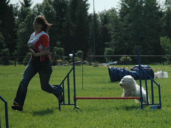 Extreme Agility víkend - sobota