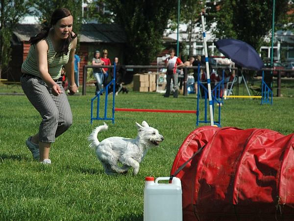 Extreme Agility víkend - sobota