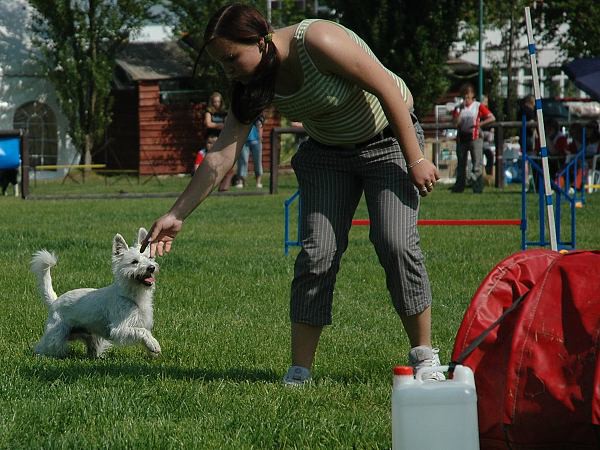 Extreme Agility víkend - sobota