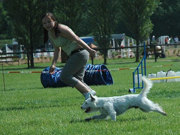 Extreme Agility víkend - sobota