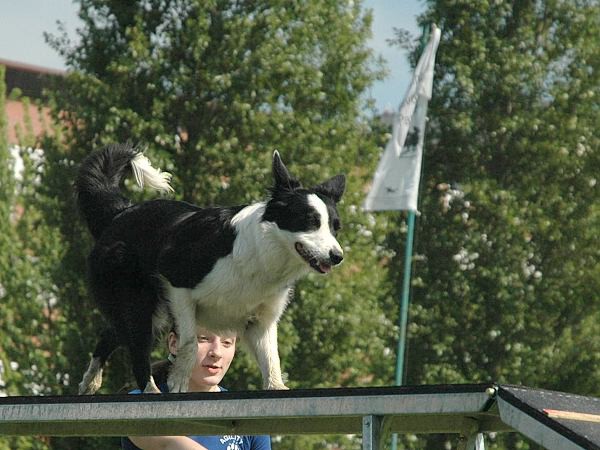 Extreme Agility víkend - sobota
