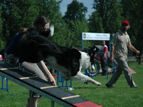 Extreme Agility víkend - sobota