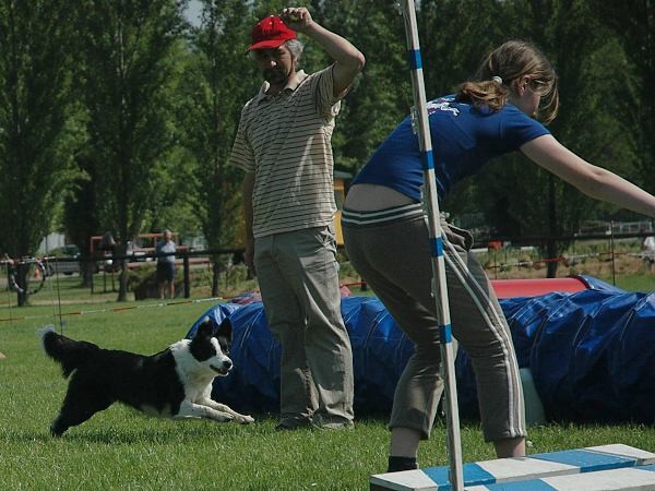 Extreme Agility víkend - sobota