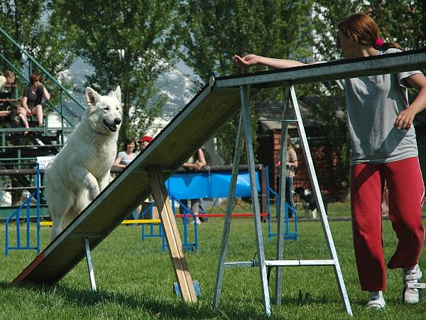 Extreme Agility víkend - sobota