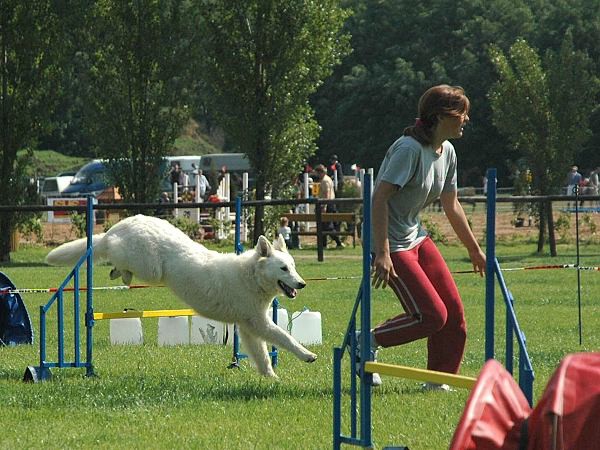 Extreme Agility víkend - sobota