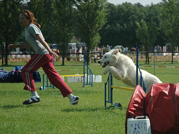 Extreme Agility víkend - sobota