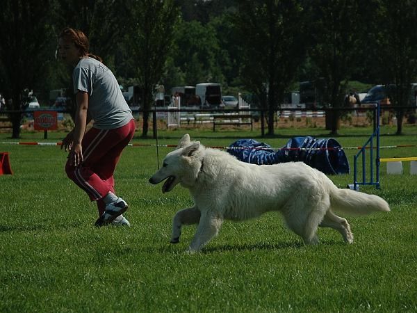 Extreme Agility víkend - sobota