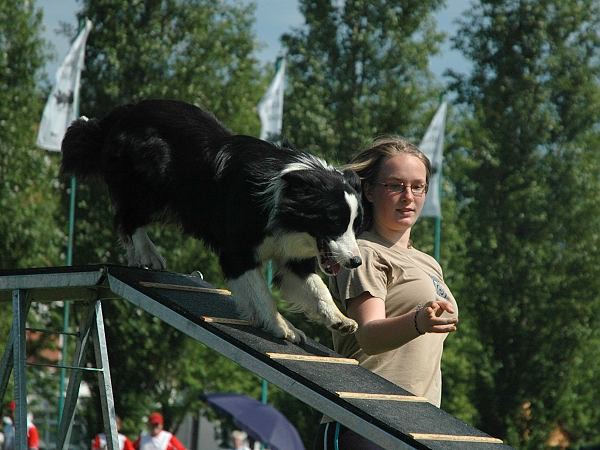 Extreme Agility víkend - sobota