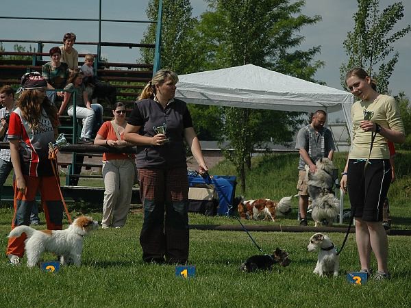 Extreme Agility víkend - sobota
