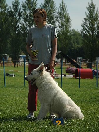 Extreme Agility víkend - sobota