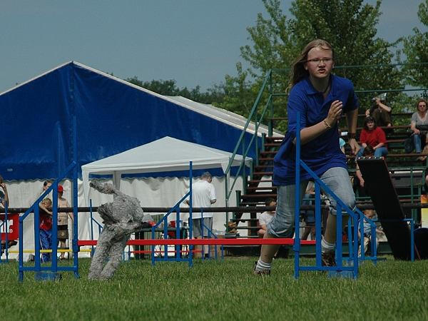 Extreme Agility víkend - sobota
