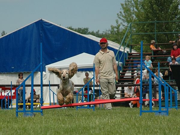 Extreme Agility víkend - sobota